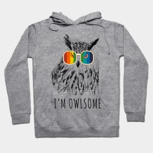 Owlsome Cute Love Owl Design Hoodie